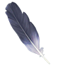 Feather blue heron
