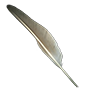 Feather crane