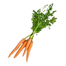 Carrot raw