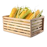 Corn crate