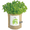 Basil2
