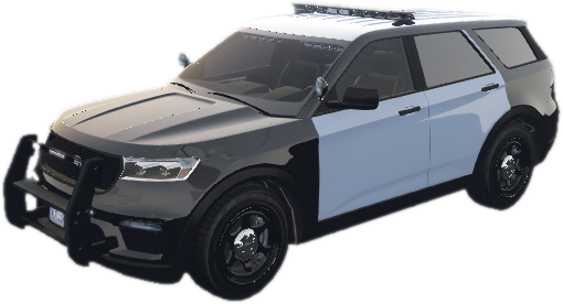 2vd scout2