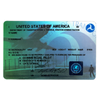 Pilot license