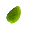 Cactusfruit