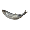 Fish2