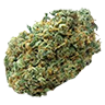 Acapulcogold trimmed bud