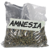 Amnesia lb