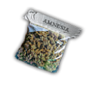 Amnesia