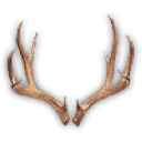 Antlers