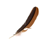 Birdfeather