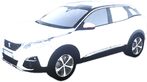 Biaozhi3008