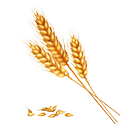 Ble