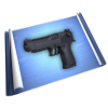 Bppistol50