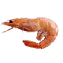 Bubbashrimp