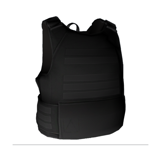 Bulletproof 1