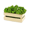 Broccoli crate