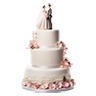 Cake wedding1