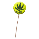 Cbd sucette