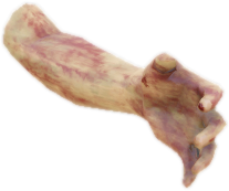 Ch prop collectibles limb 01a