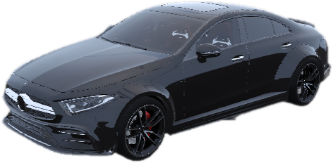 Cls19