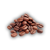 Coffeebean
