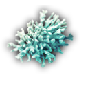 Corail