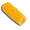 Corn n the cob