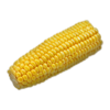 Corn on cob