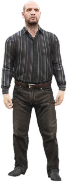 Cs siemonyetarian