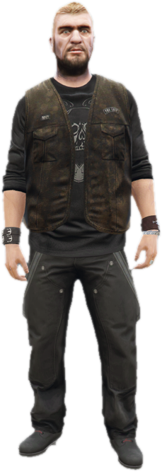Cs terry