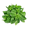 Cubasil