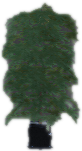 Bkr prop weed lrg 01a