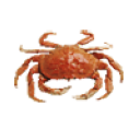 Damiskingcrab