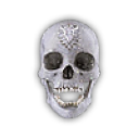 Diamond skull