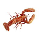 Diamondlobster