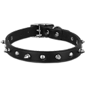 Dog collar