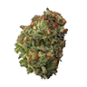 Dosidos trimmed bud