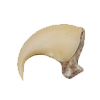 Cougarclaw