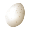 Egg raw
