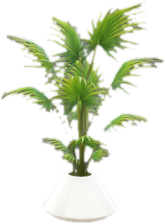 Ex mp h acc plant palm 01
