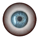 Eye