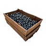 Blueberry crate