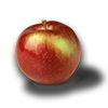 Farming apple