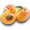 Farming apricot