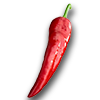 Farming chilipepper