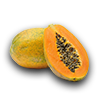 Farming papaya
