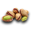 Farming pistachio