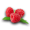 Farming rasberry