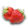 Farming strawberry