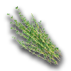 Farming thyme